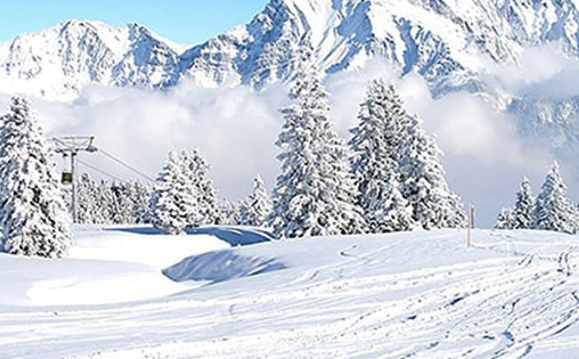 見え方イメージ グレー After